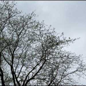 Meet your Posher, Lydia